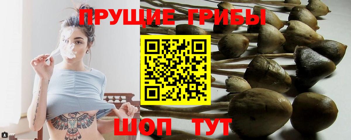 Галлюциногенные грибы прущие грибы  купить наркоту  Отрадный  Галлюциногенные грибы MAGIC MUSHROOMS  Вход с VPN 