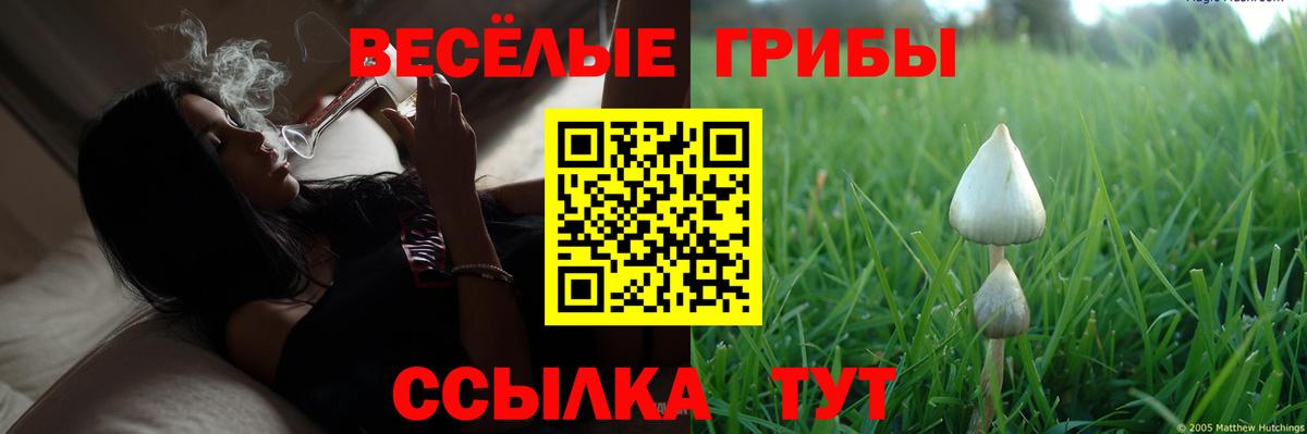 Галлюциногенные грибы мухоморы Отрадный
