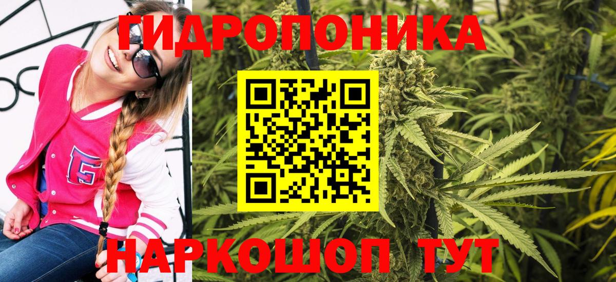Шишки марихуана SATIVA & INDICA  Вход с VPN  Бошки Шишки Amnesia  Отрадный 